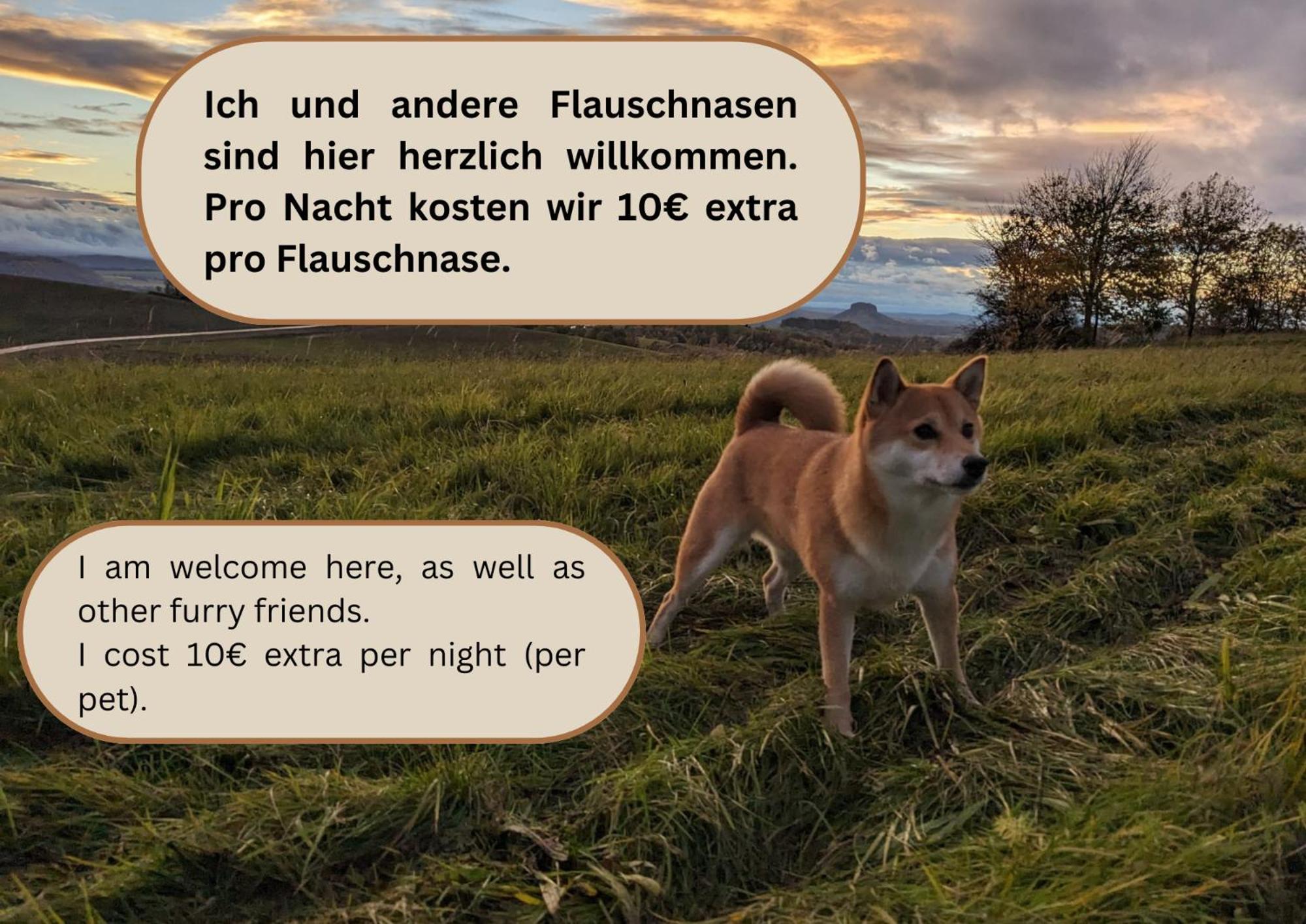 Apartamento S2 - Urlaubsmagie - Am Wanderweg Mit Terrasse Sebnitz Exterior foto